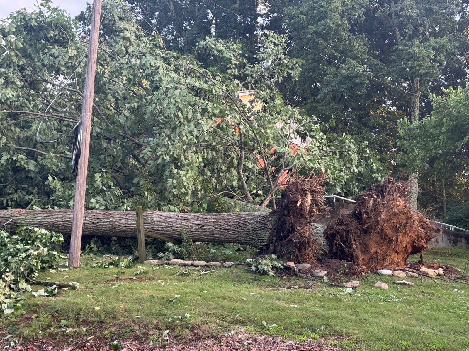 Intense storm knocks out power, downs trees and damages homes and structures in West Morristown - Citizen Tribune